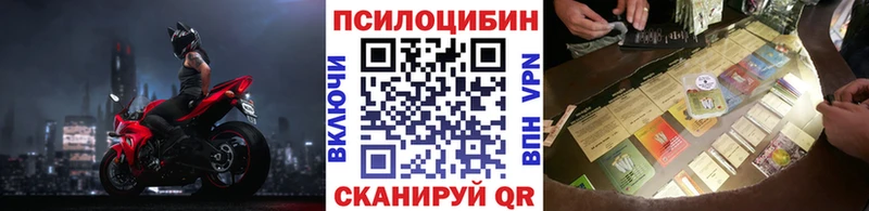 Псилоцибиновые грибы MAGIC MUSHROOMS  гидра онион  Тулун  цены наркотик 